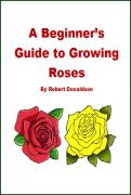 Guide To Growing Roses